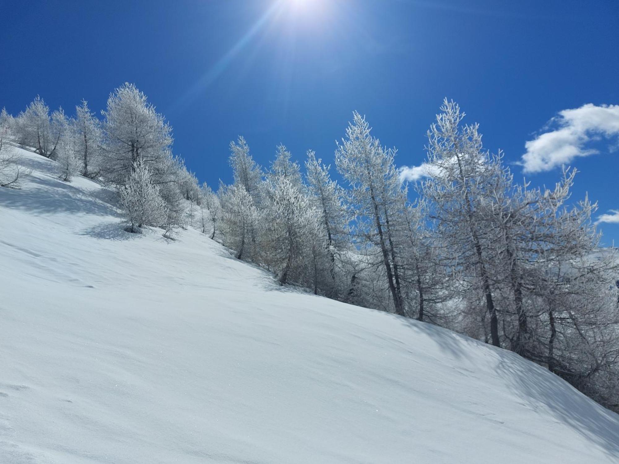 Appartement avec vue sur la montagne Abriès Extérieur photo